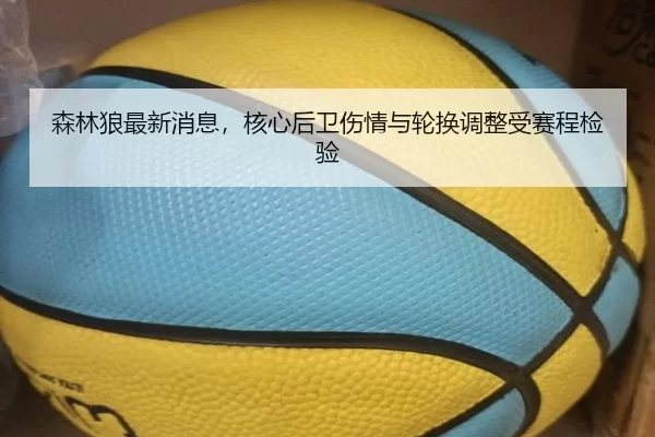 森林狼最新消息，核心后卫伤情与轮换调整受赛程检验